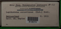 Image Associated With the Occurence